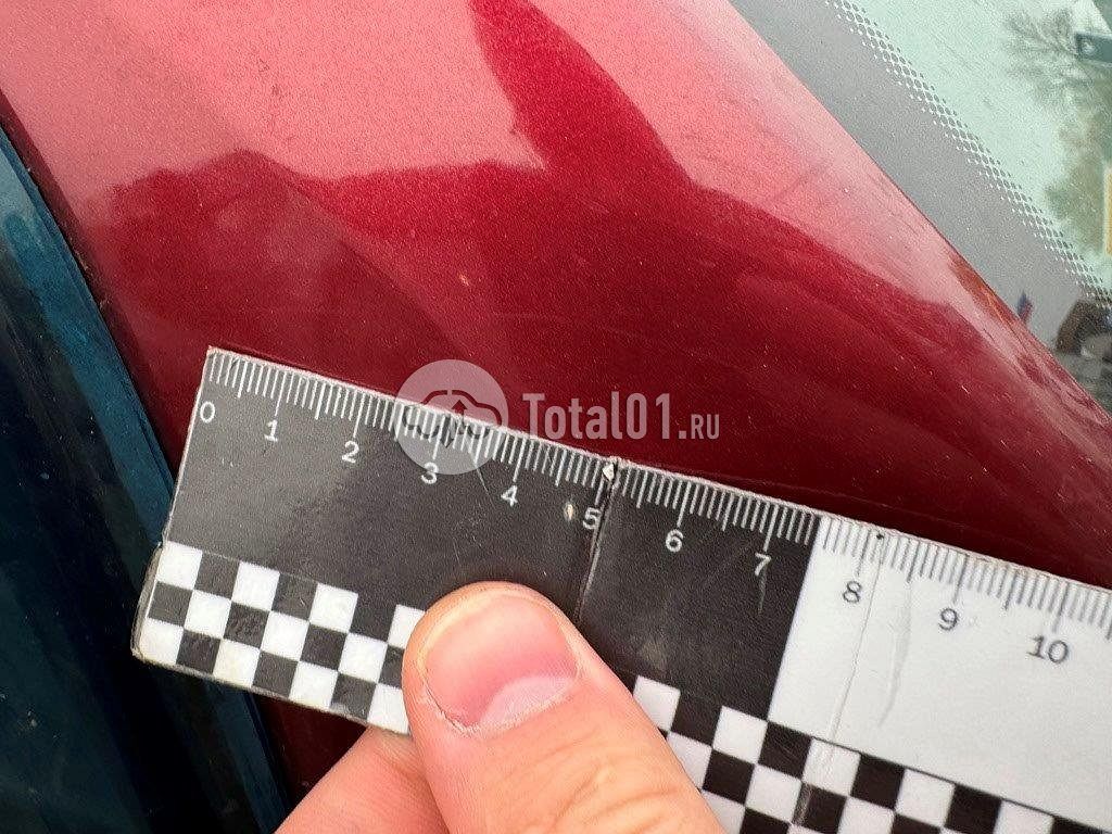 Фото Renault Sandero Stepway 516