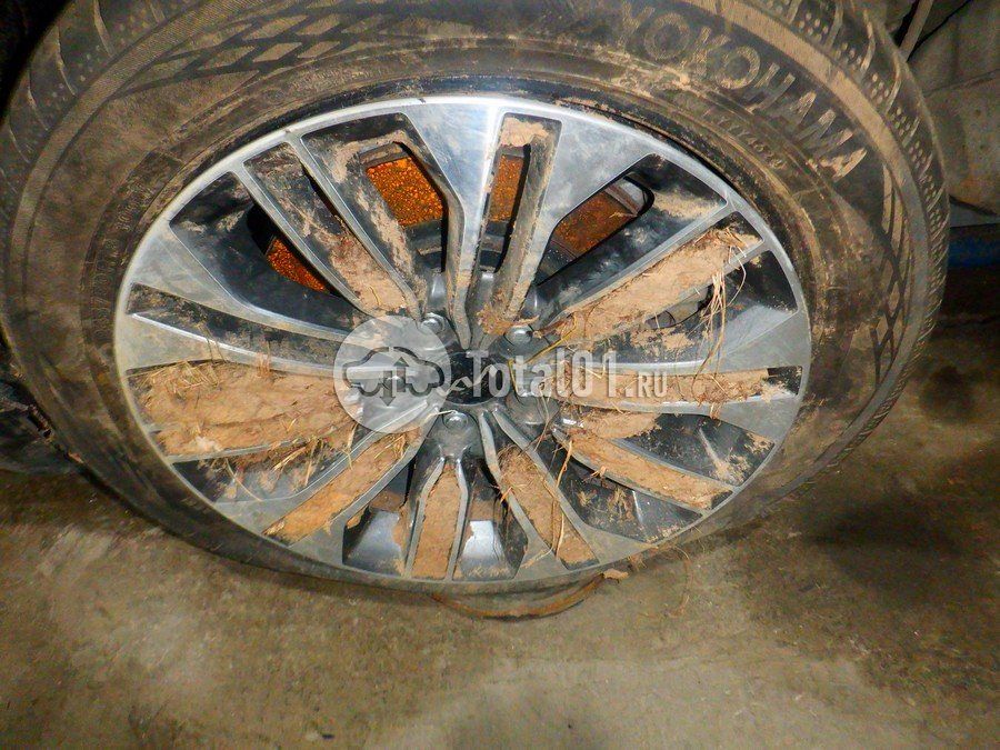 Фото KIA K9 198