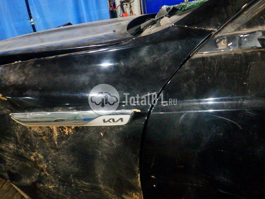 Фото KIA K9 236