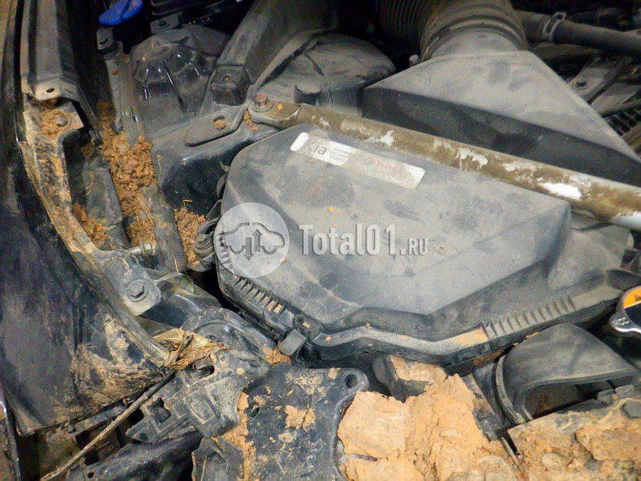Фото KIA K9 298