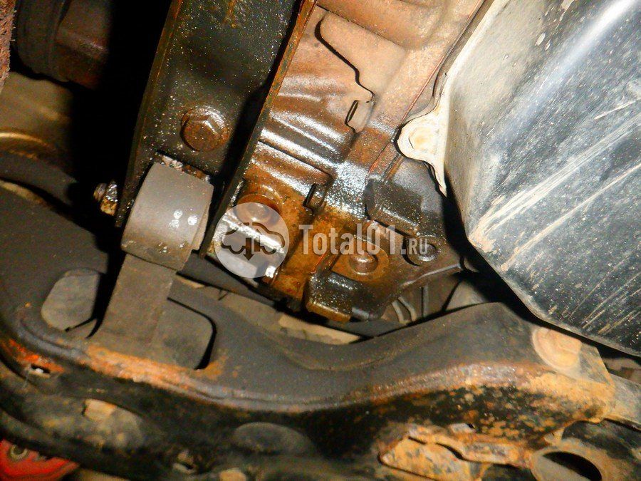 Фото Volkswagen Polo 276