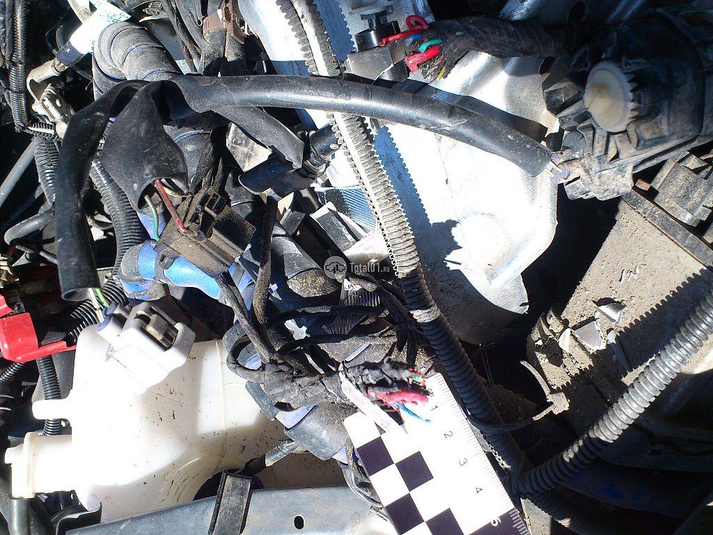 Фото Toyota Passo 44