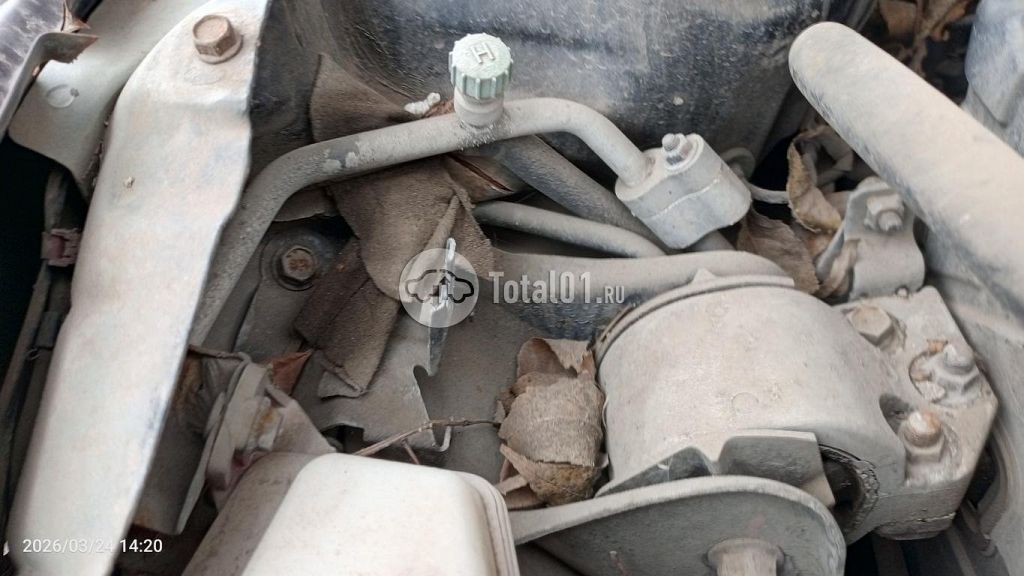 Фото Hyundai Accent 54