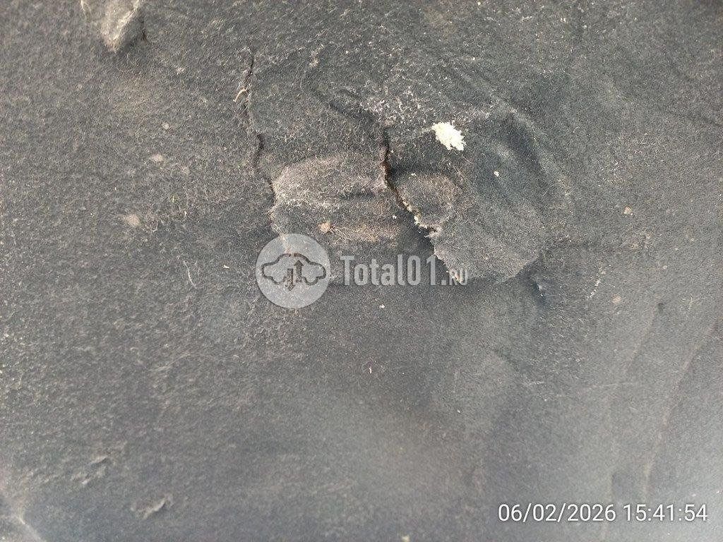 Фото Toyota Camry 244