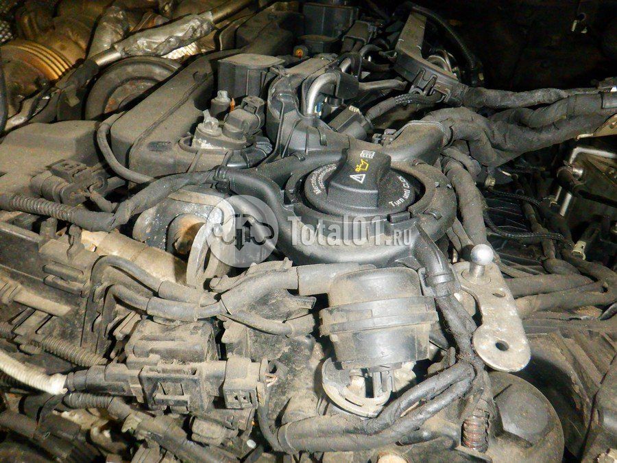 Фото Mercedes-Benz S-класс 256