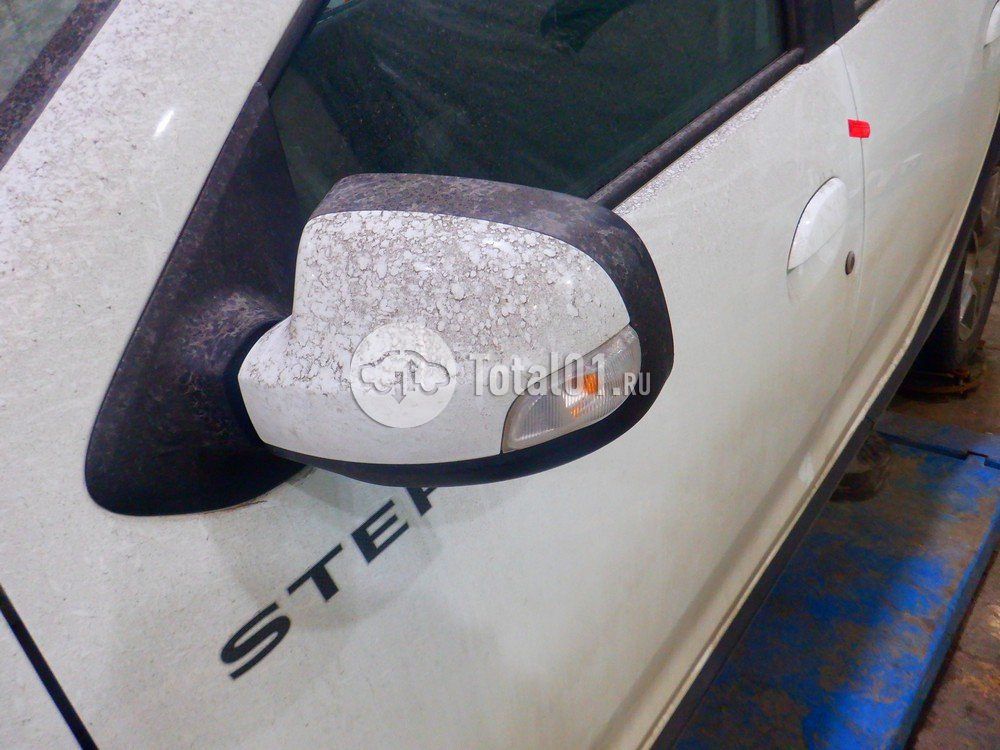 Фото Renault Sandero Stepway 208
