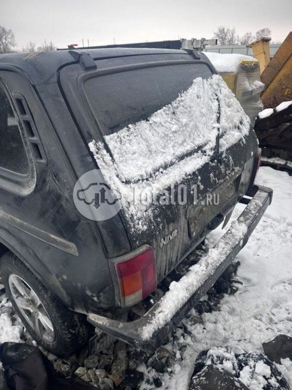 Фото ВАЗ (LADA) 4x4 (Нива) 10