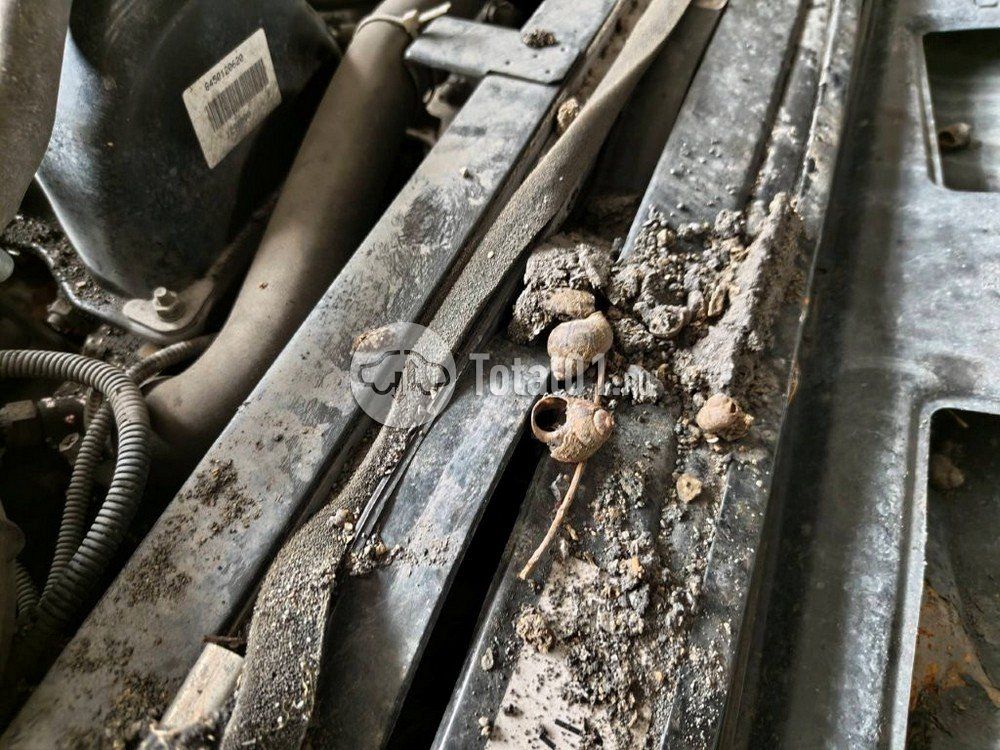 Фото ВАЗ (LADA) 4x4 (Нива) 50