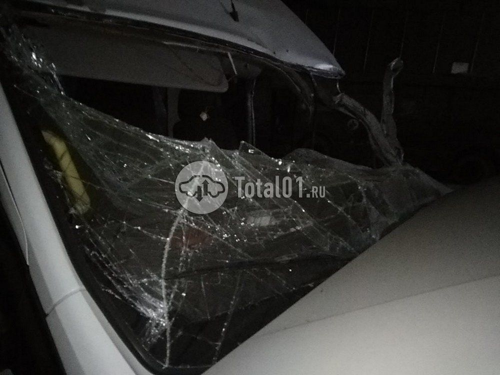 Фото ГАЗ GAZelle NEXT 10