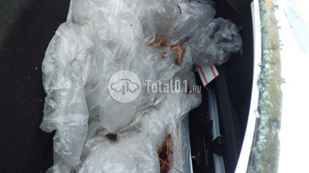 Фото Volkswagen Polo 54