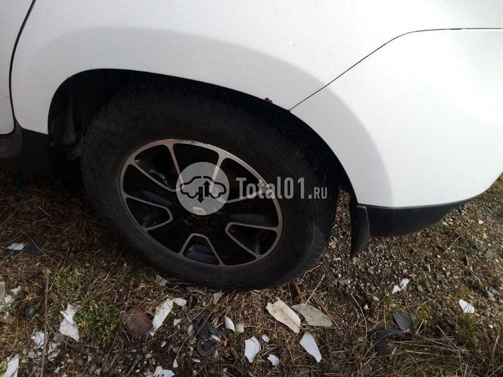 Фото Renault Duster 74