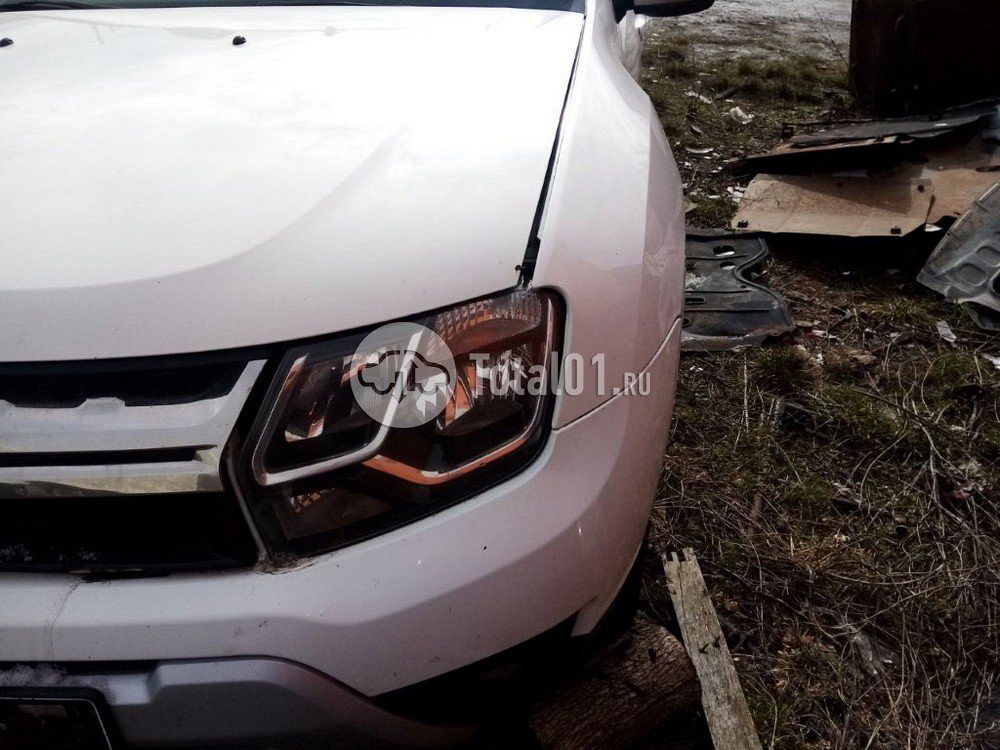 Фото Renault Duster 106