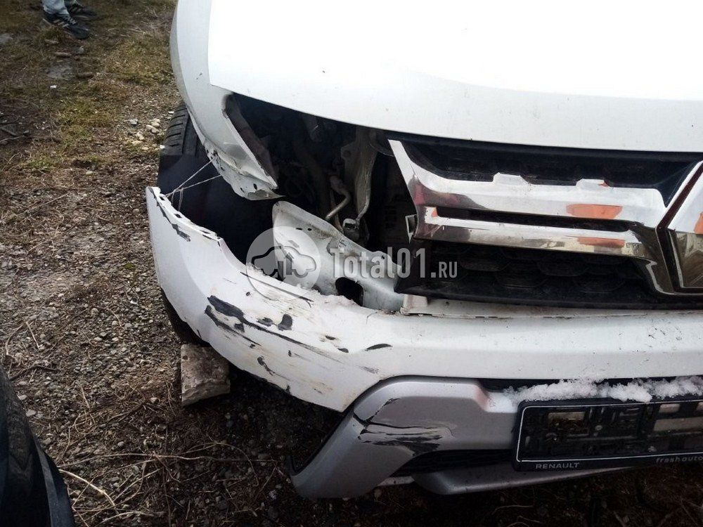 Фото Renault Duster 118