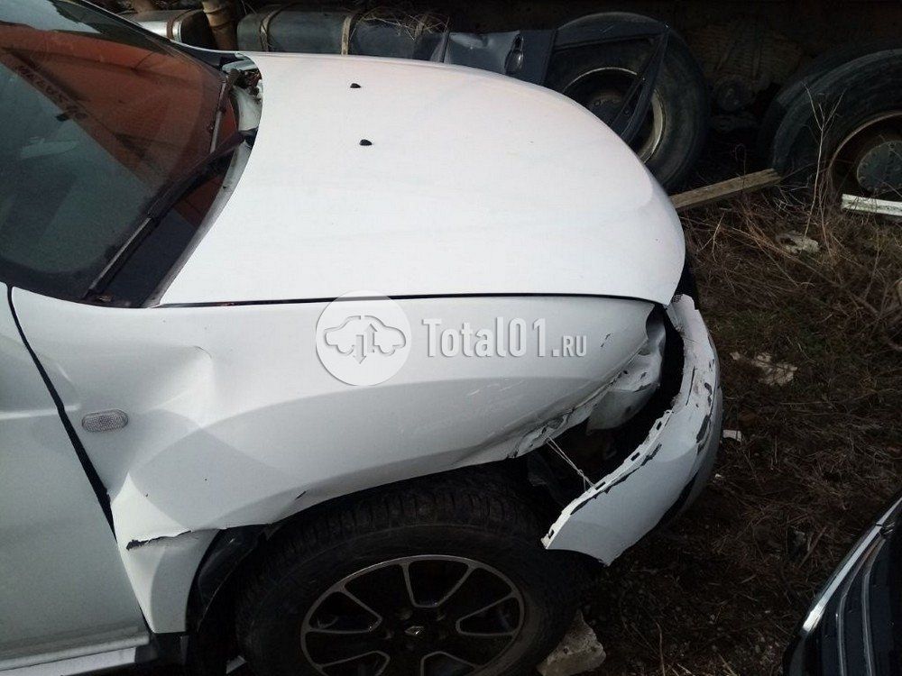 Фото Renault Duster 134