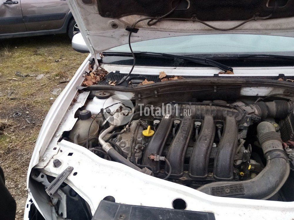 Фото Renault Duster 248