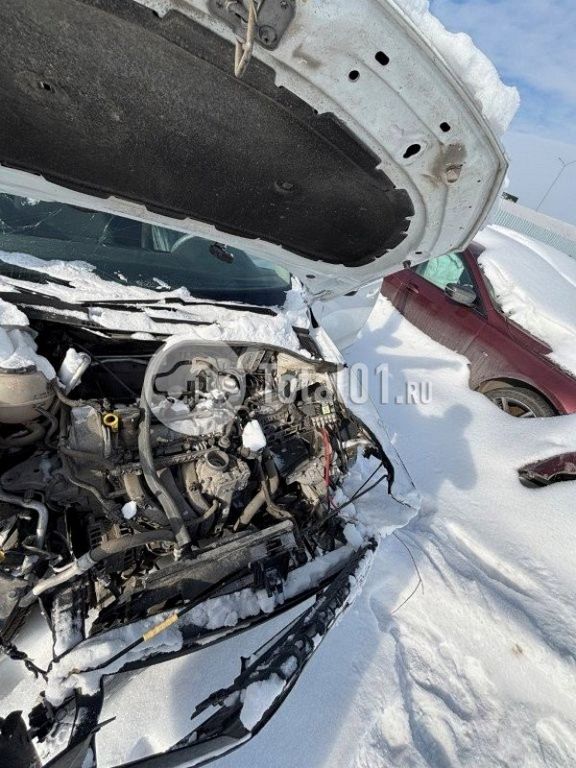 Фото Volkswagen Polo 34