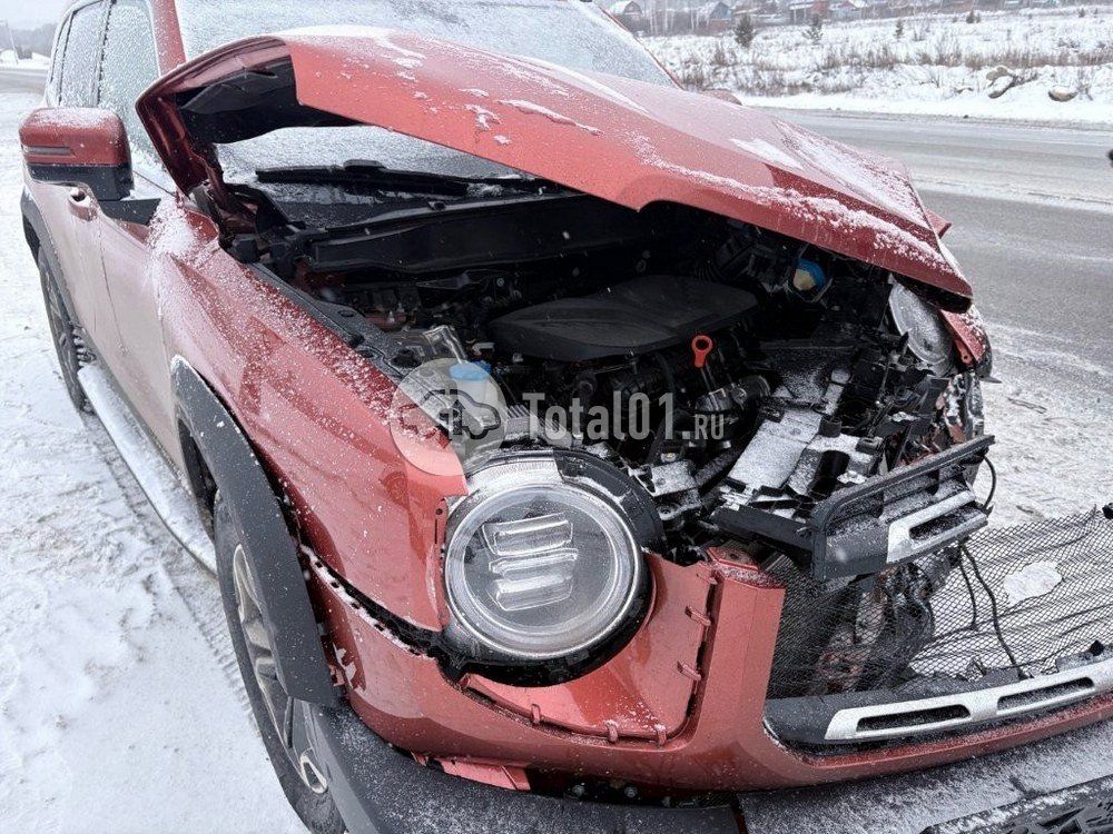 Фото Haval DARGO 12