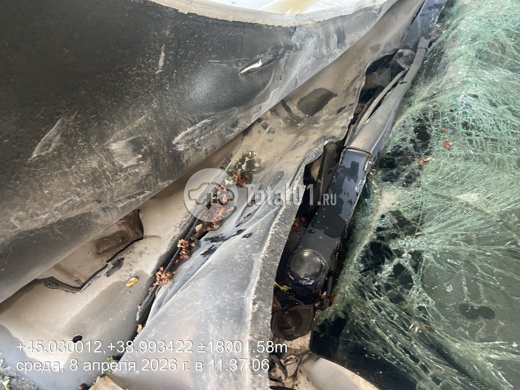 Фото KIA cee\'d 92