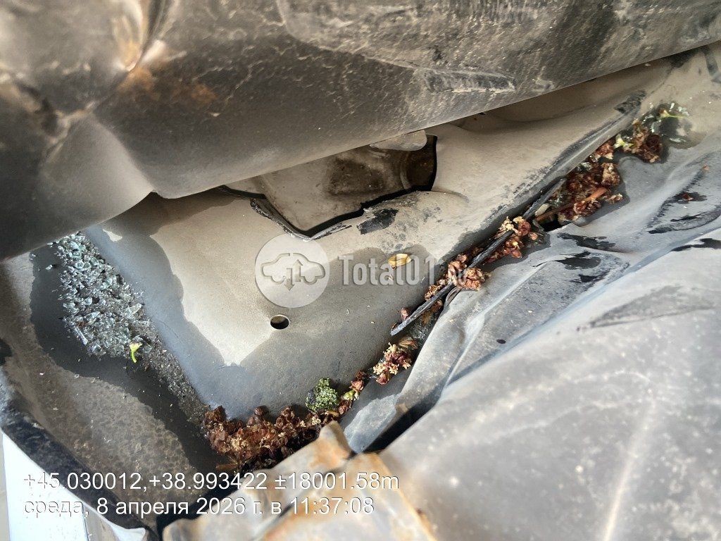 Фото KIA cee\'d 94