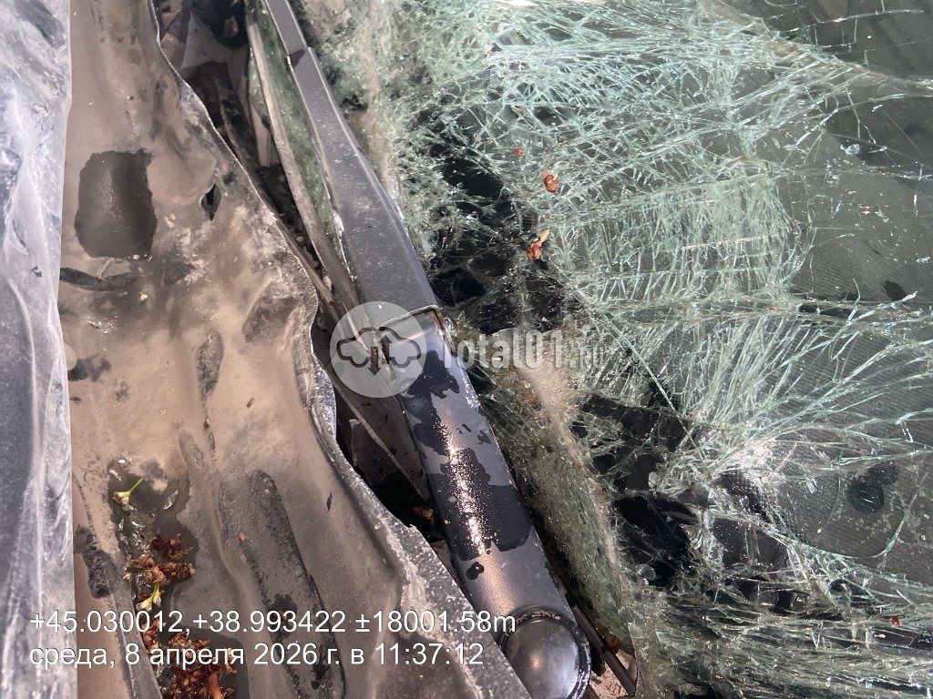 Фото KIA cee\'d 96