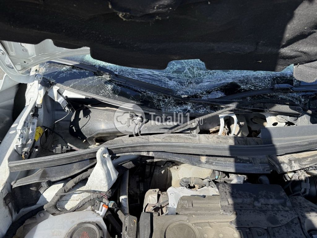 Фото Volkswagen Tiguan 54