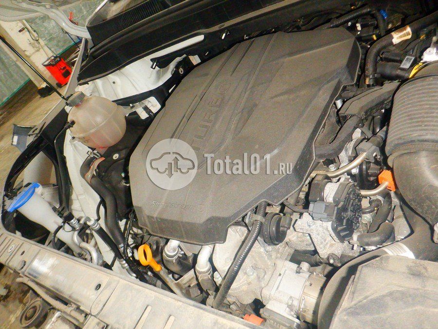 Фото KIA Carnival 198