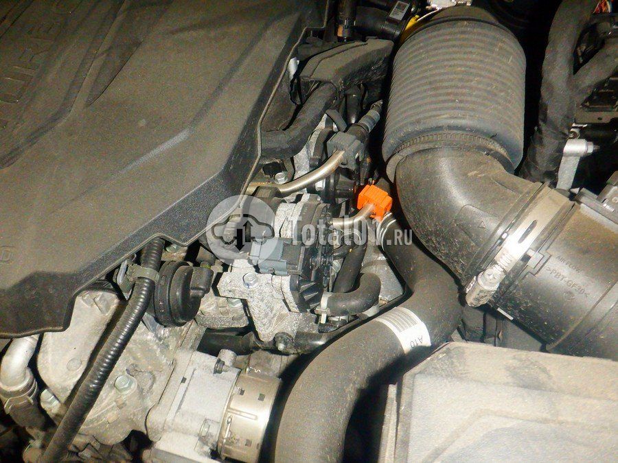Фото KIA Carnival 200