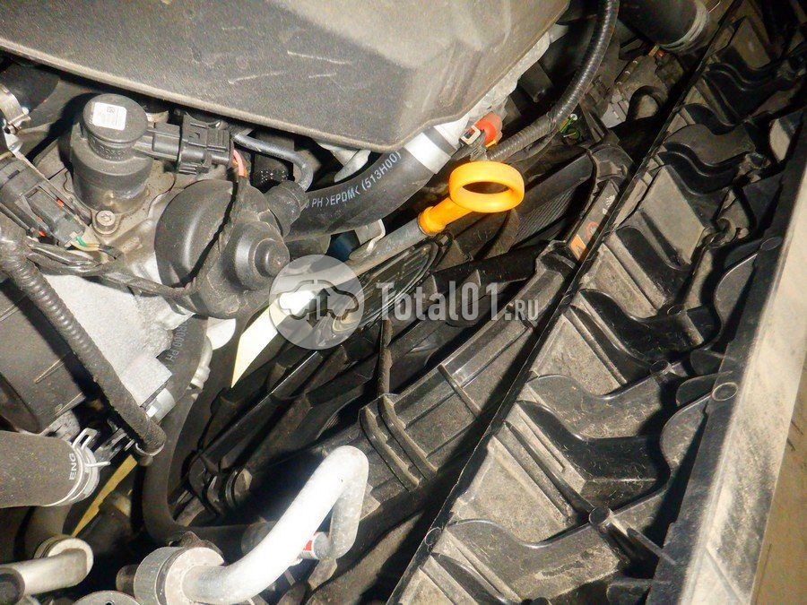 Фото KIA Carnival 226