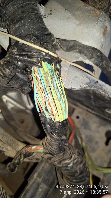 Фото Citroen Berlingo 64