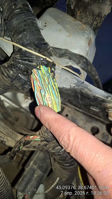 Фото Citroen Berlingo 66