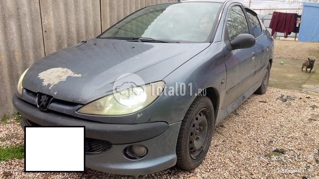 Фото Peugeot 206 24
