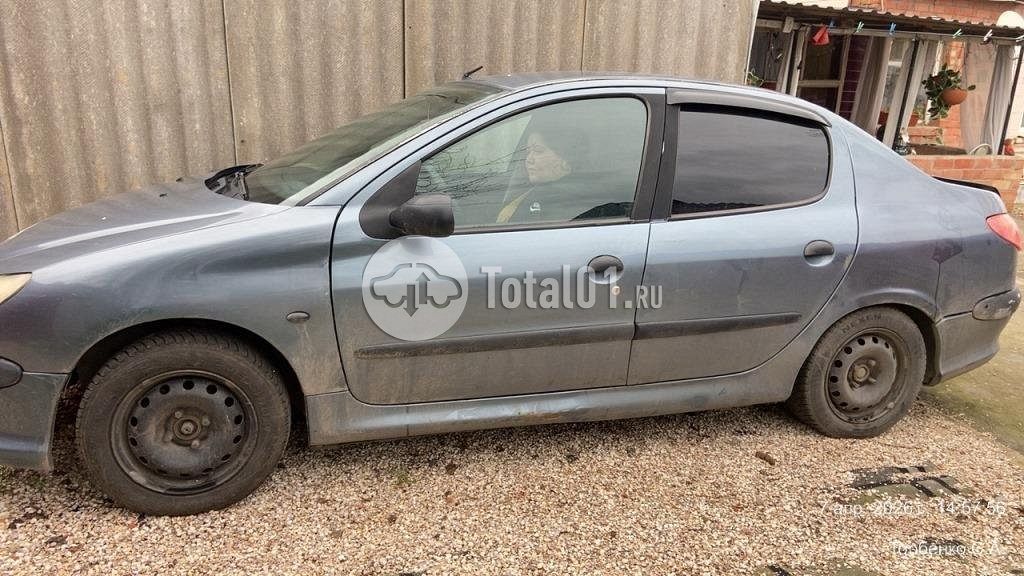 Фото Peugeot 206 28