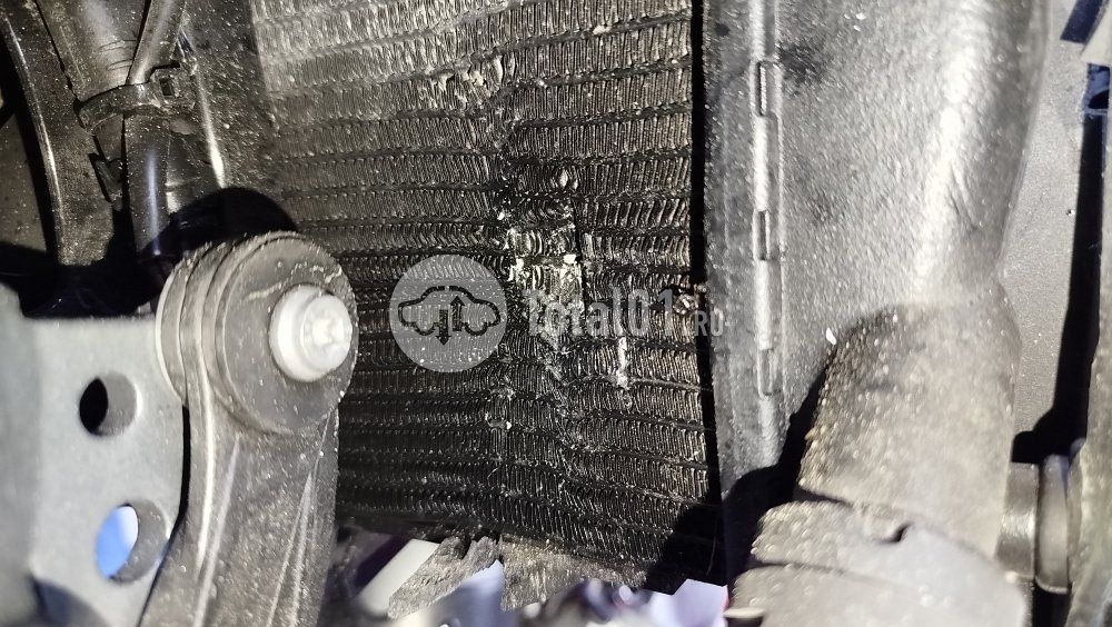 Фото BMW R 1250 GS 54