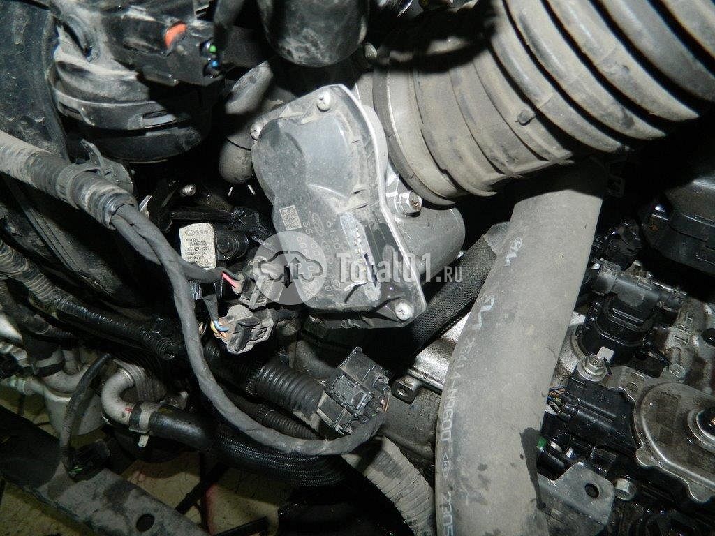 Фото KIA Sportage 246