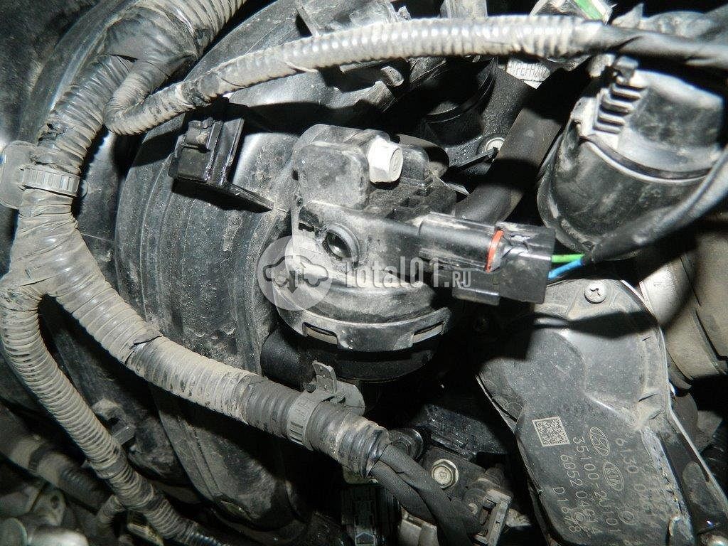 Фото KIA Sportage 250