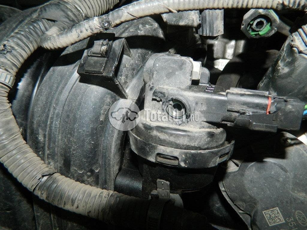 Фото KIA Sportage 252