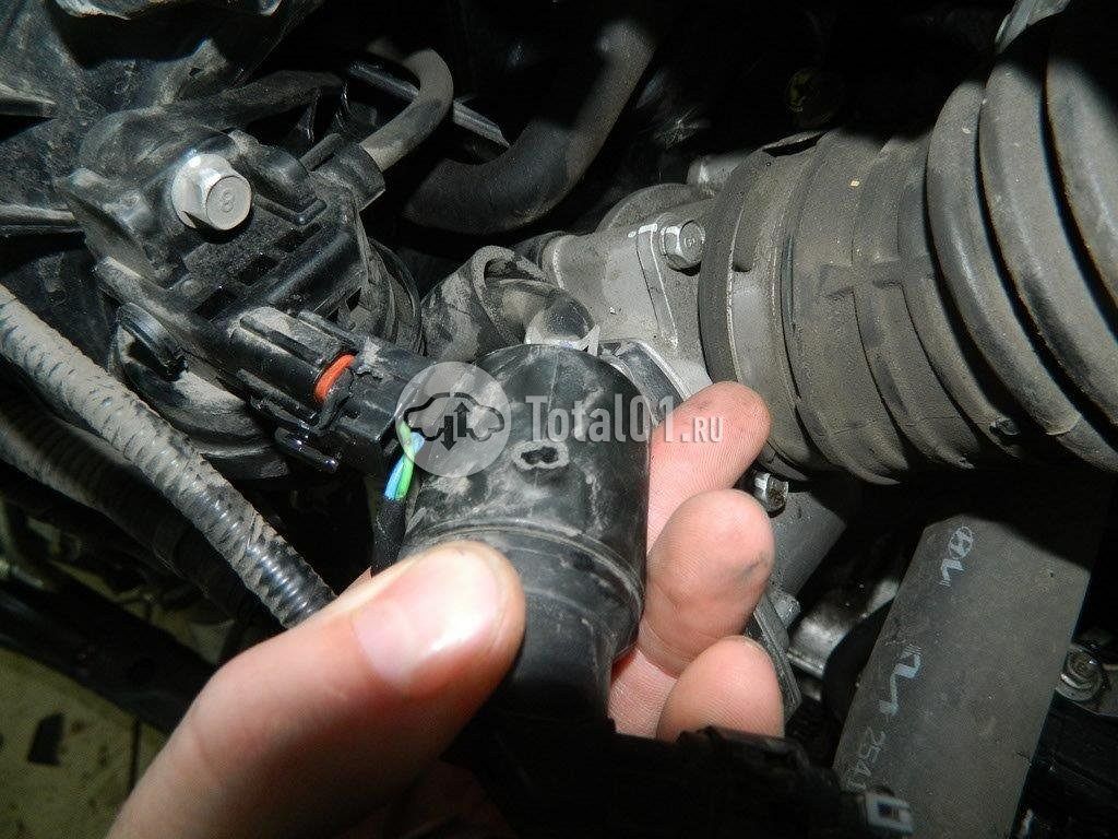 Фото KIA Sportage 254