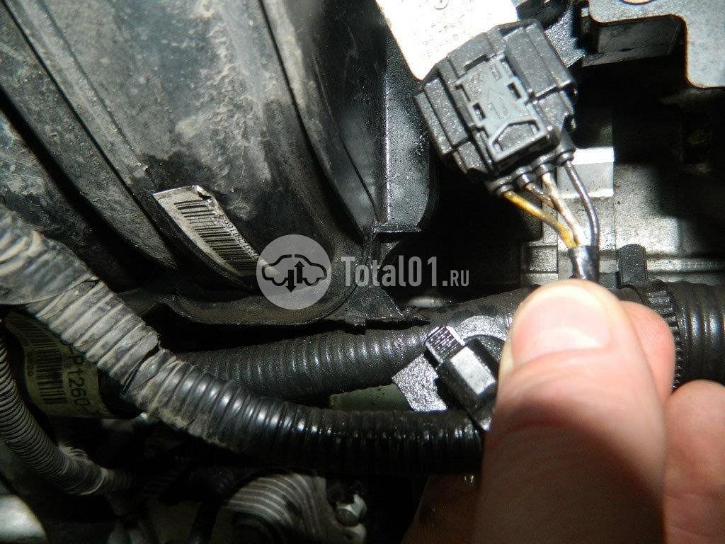 Фото KIA Sportage 260