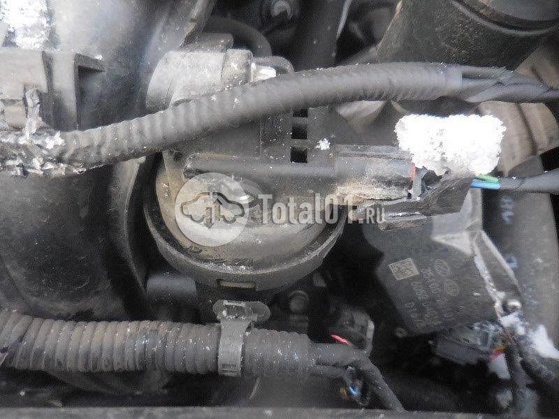 Фото KIA Sportage 356