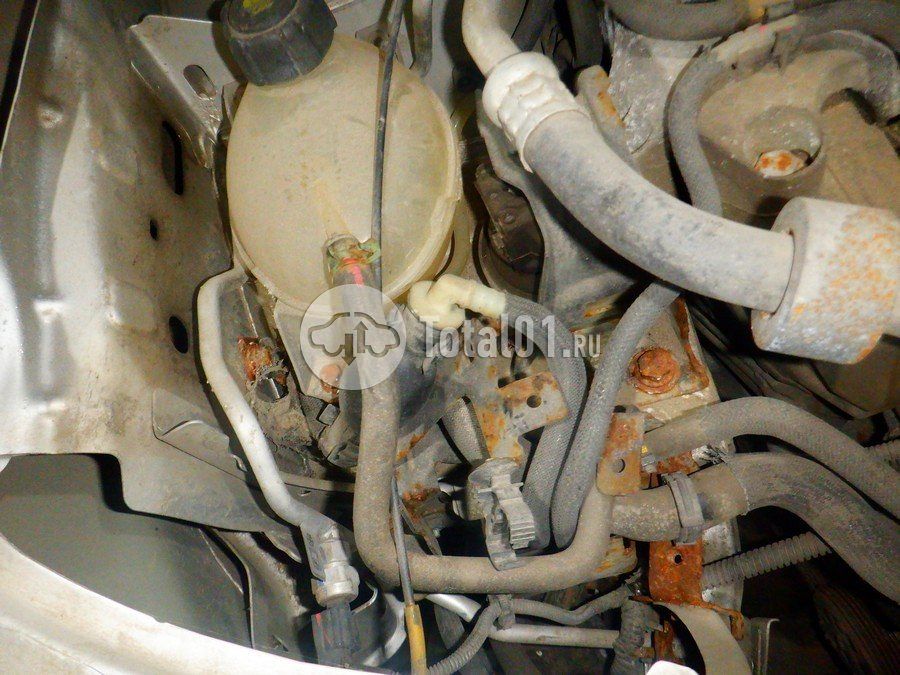 Фото Renault Duster 264