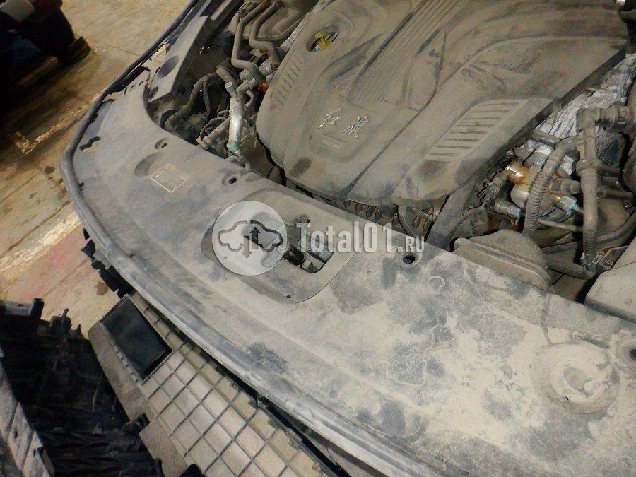 Фото FAW Hongqi H5 240