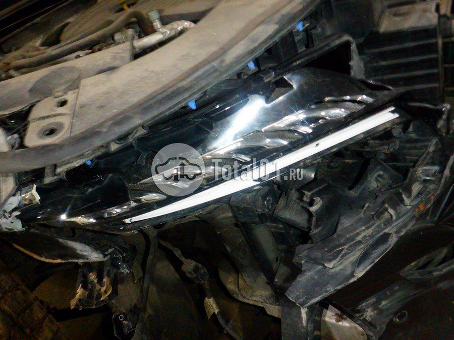 Фото FAW Hongqi H5 260