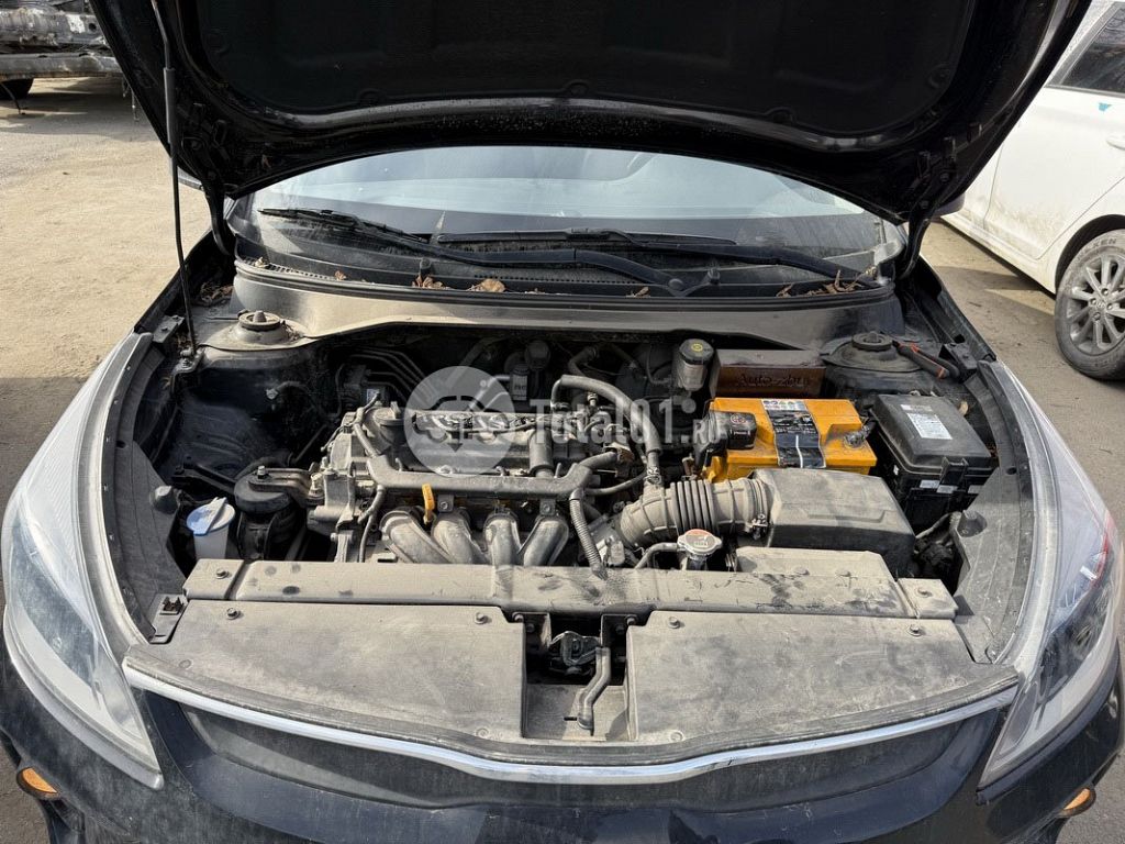 Фото KIA Rio 56