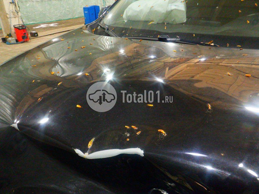 Фото Haval F7X 182