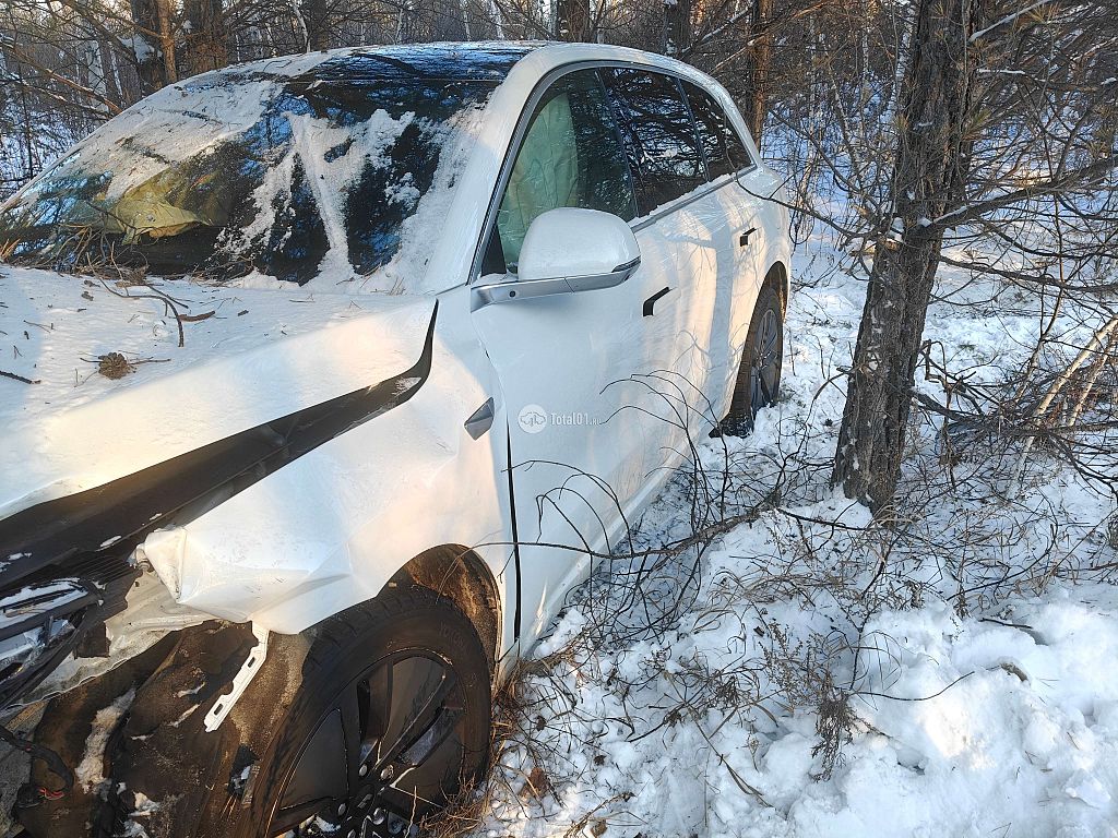 Фото Lixiang L6 10