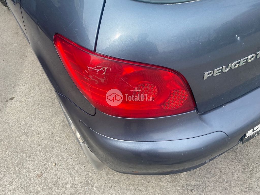 Фото Peugeot 307 24
