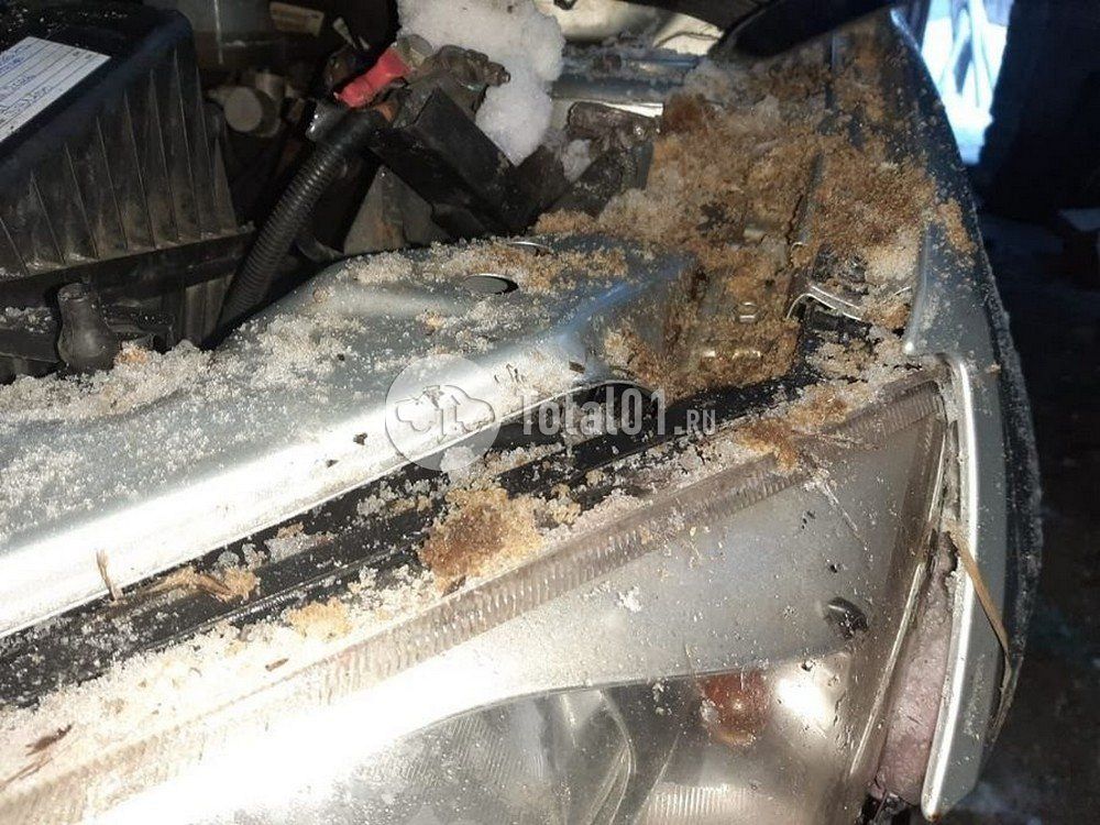 Фото ВАЗ (LADA) Granta 28