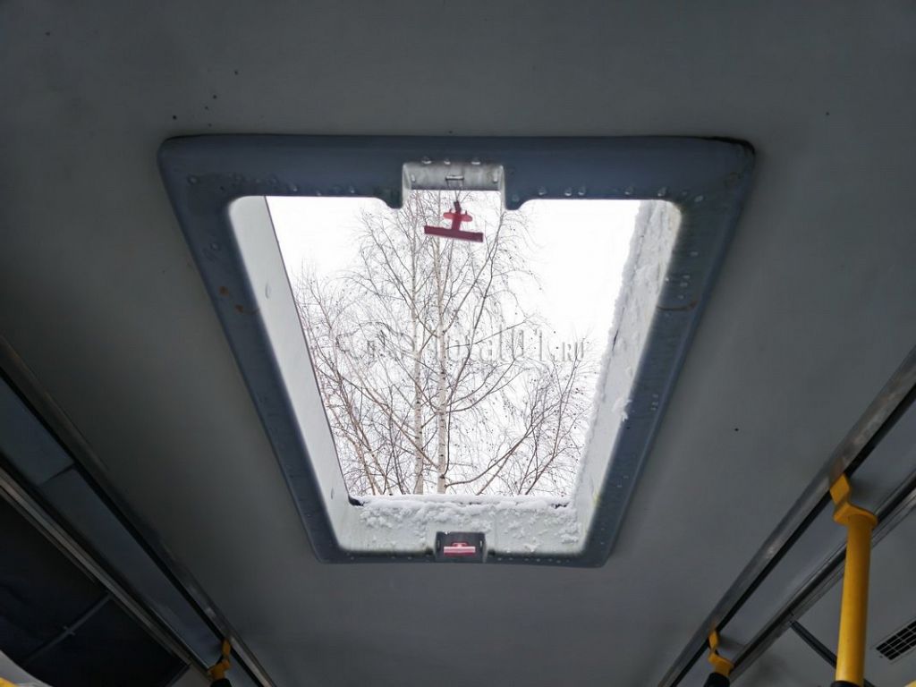 Фото Volgabus 4298G4 174