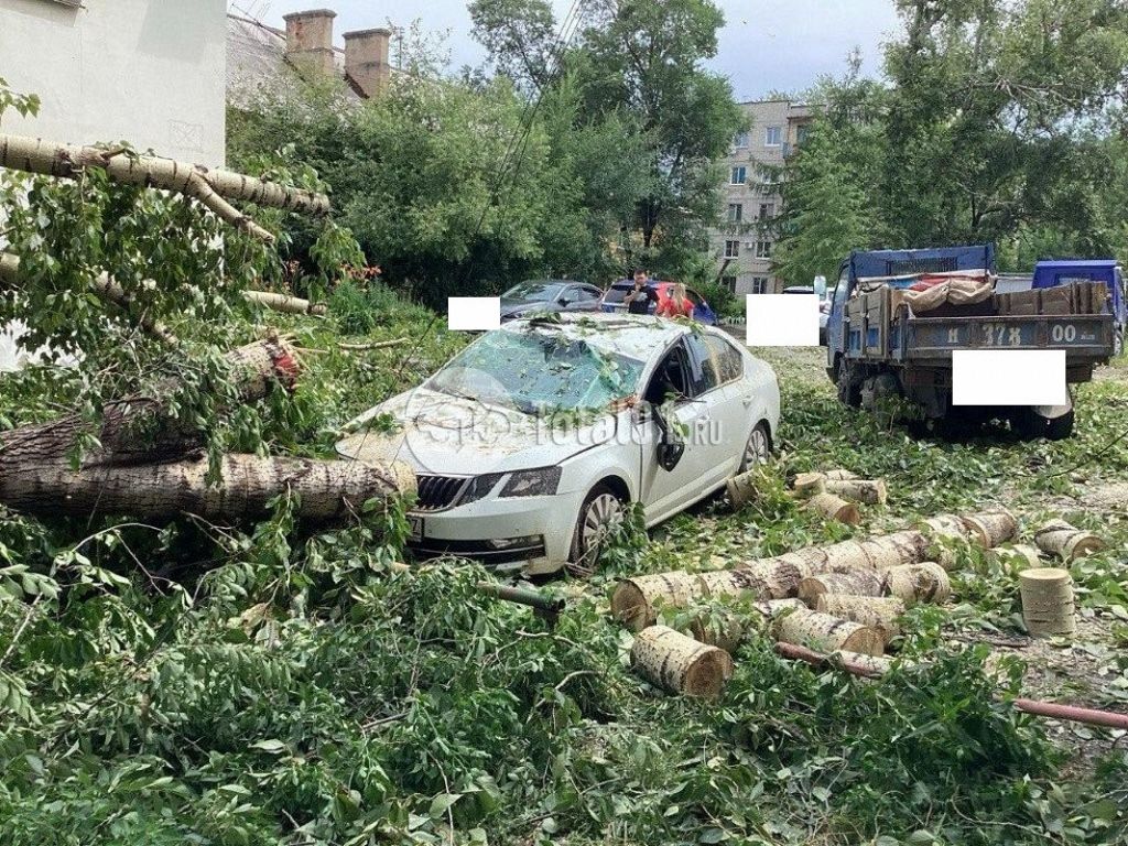 Фото Skoda Octavia 4