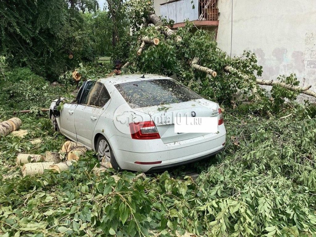 Фото Skoda Octavia 30